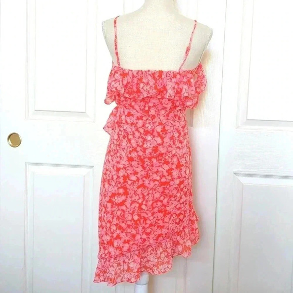 Lovers + Friends x Revolve Adley Valentine Pink Floral Ruffle Dress - Picture 6 of 8